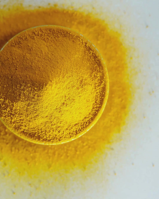 Holi+ Nerve Support